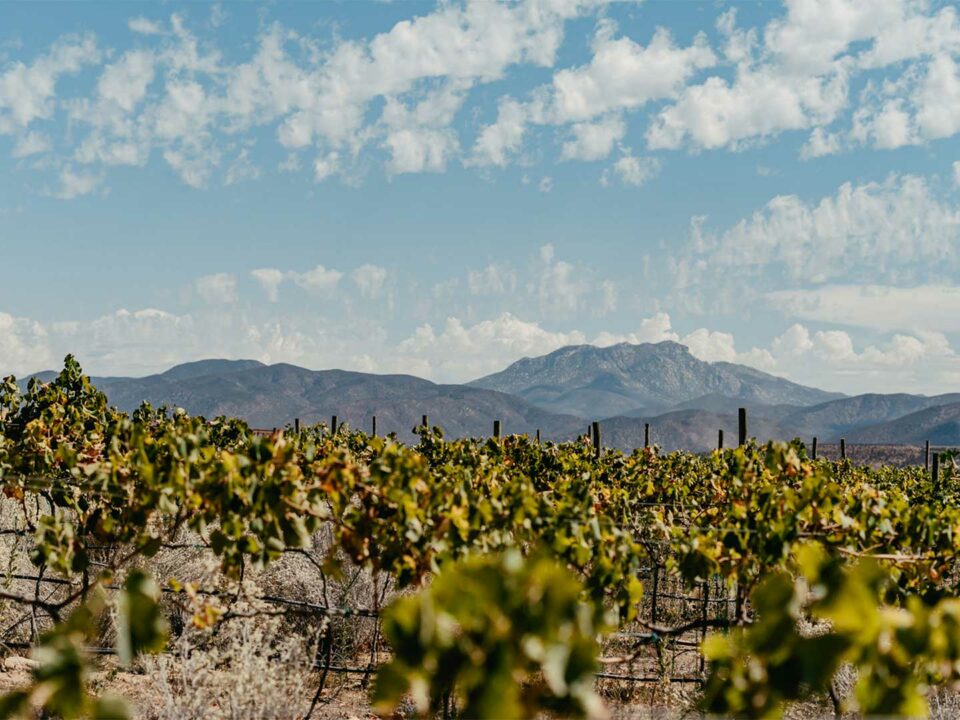 Indomito glamping valle de guadalupe